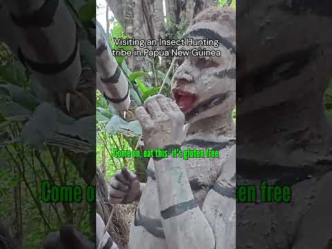 Visiting an Insect Hunting tribe in Papua New Guinea 🇵🇬