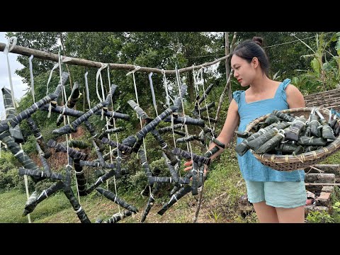 Country Life. Morning nausea craving traditional ash cakes cooked from the stove fire