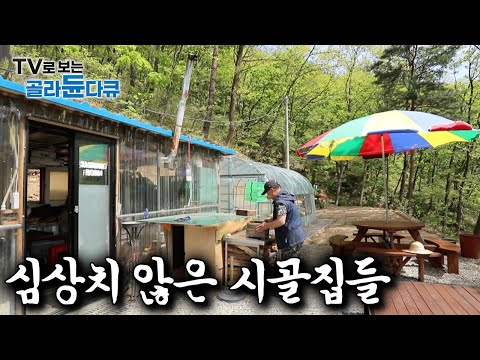 “돈 안들고 좋지 뭐” 컨테이너부터 비닐하우스까지 멀쩡한 집은 아니어도 나름대로 잘 먹고 잘사는 산골 사람들 모아보기｜#골라듄다큐