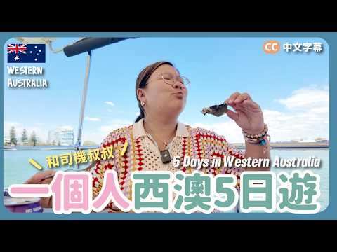 【西澳🇦🇺】開盲盒遊西澳！5日4夜行程😍夜探袋鼠🦘即釣即食龍蝦大餐🦞 Cape to Cape行山之旅｜澳洲遊學豚 EP.5 {CC字幕} ft.Tourism Australia