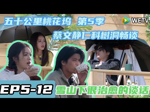 五十公里桃花坞 第5季 第5期:蔡文静的数洞时间!#综艺 #五十公里桃花坞 #朱丹 #shenyue#宁静#汪峰#汪苏泷#WonderlandS5