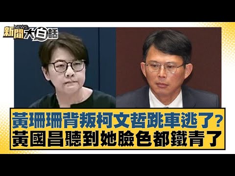 黃珊珊背叛柯文哲跳車逃了？黃國昌聽到她臉色都鐵青了【新聞大白話】 20241217-8｜謝寒冰 柯志恩 張禹宣