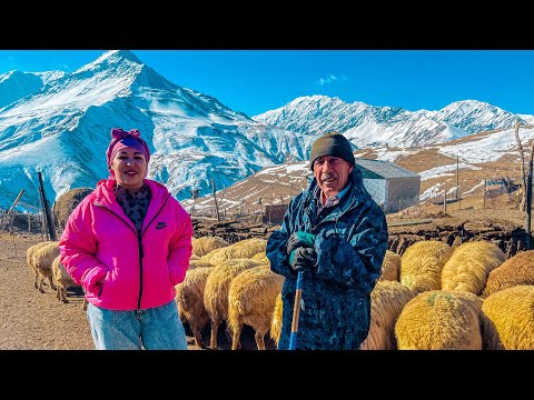 ГОРНЫЙ ДАГЕСТАН  ! Как живут ГОРЦЫ  ? СЕЛЬСКАЯ ЖИЗНЬ. Исида .  Слоеный Хинкал  ! Долма. Куруш!