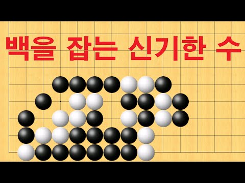 바둑 묘수 사활- 백을 잡는 신기한 수는 어디일까요?
