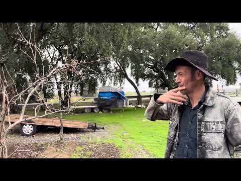 Интервью с пчеловодом  Вениамином Бальжик в Сакраменто.