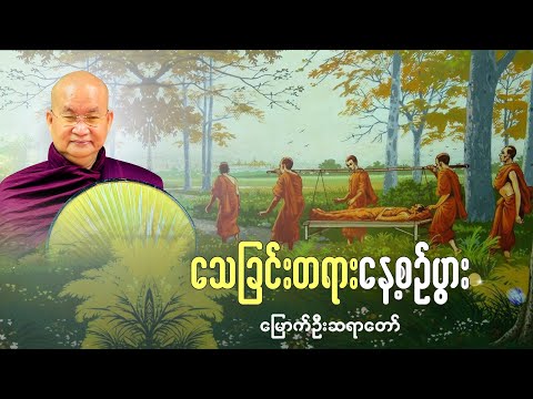 သေခြင်းတရား နေ့စဉ်ပွား - မြောက်ဦးဆရာတော်