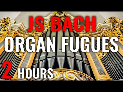 🎵 20 ORGAN FUGUES by JS BACH | 18 Organs & 11 Organists (Bach Organ Music)