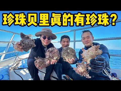 和ok哥在阿联酋赶海，比脸大的千手螺和珍珠贝随手捡，做一顿烧烤竟然能开出珍珠？