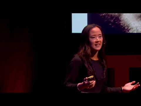 Dyslexic? They're not broken | Dr Rosa Kwok | TEDxCoventry
