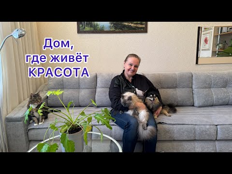 В гостях у Светланы🌸 Морошка, Софа, Челси и цветы🪴