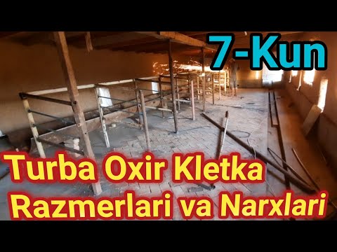 MOLXONA POLIGA G'ISHT TERISH TURBA OXIR KLETKA ISHLARI 7-KUN