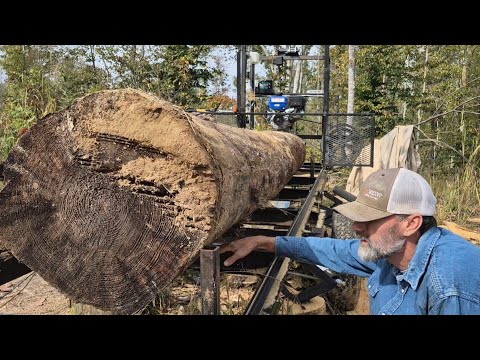 What's going on around here