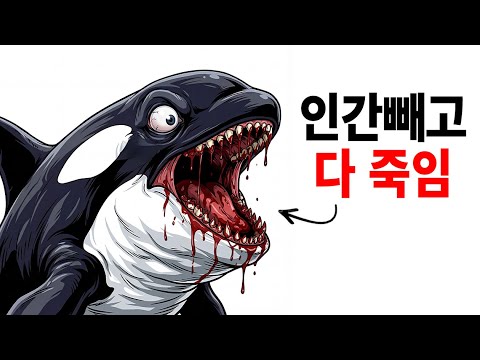 범고래는 왜 인간만 공격하지 않을까?