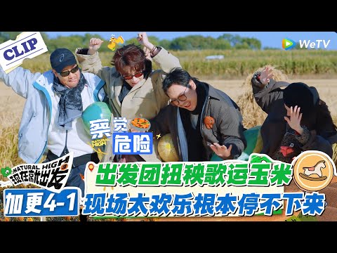 现在就出发 第3季加更4-1：出发团扭秧歌运玉米！沈腾鬼点子太多，笑的根本停不下来！#现在就出发S3 #沈腾 #白敬亭 #王安宇 #金晨 #范丞丞