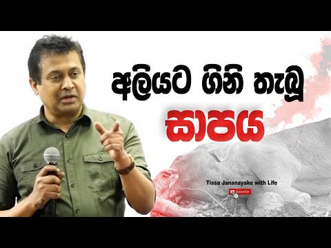 අලියට ගිනි තැබූ සාපය I Tissa Jananayake with Life (EP 205)