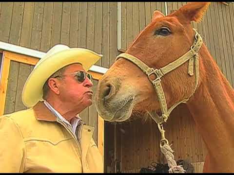 THE COMPLETE RIDER • ALL ABOUT MULES