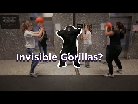 Brainiacs Episode 10: The Gorilla in the Room