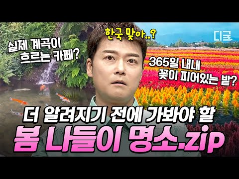 [#프리한19] 🌷봄 맞이 인생샷 명소 추천🌷 국내에서 떠나는 중세 유럽 여행부터 SNS 봄 핫플까지✨