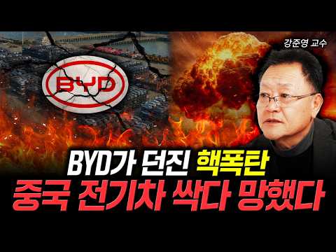 "Even the Chinese Don't Drive Them": The Decline of China's Electric Cars | Professor Kang Jun-yo...