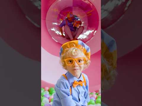 Blippi and Jude Go Down the Slide 🛝 to Play Hide and SEEK! #blippi #shorts
