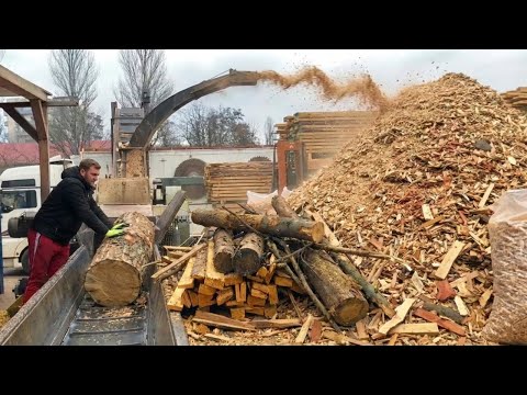 The Operators Who Process Timber Like Machines