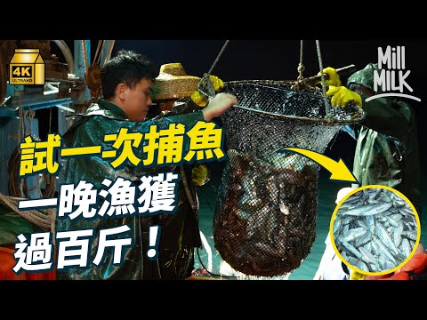 #MM|試一次跟水上人出海捕魚!凌晨12點開工 一晚捕魚成本要數千元 過百斤漁獲都賺唔返成本?捕魚最怕打風落大雨 天氣差收入可以得700蚊一晚|#試一次 #4K