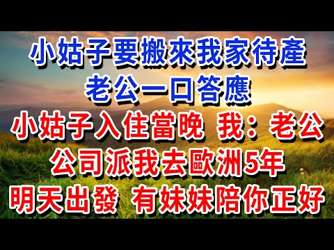 小姑子要搬來我家待產，老公一口答應，小姑子入住當晚，我：老公，公司派我去歐洲 5 年，明天出發，有妹妹陪你正好！
