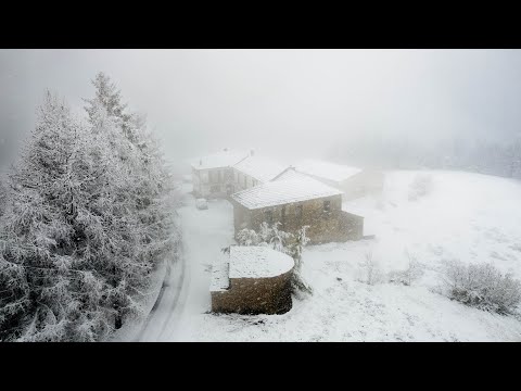 Fresh Snow & Fruit trees (#69)