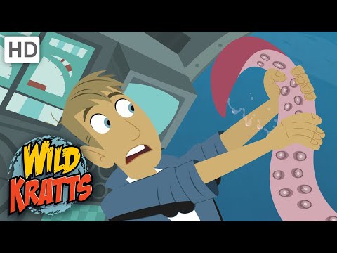 Wild Kratts | Whale of a Squid | Full Episode | Season 1