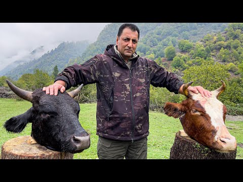 The famous recipe for beef head HASH! Soup that will improve your health