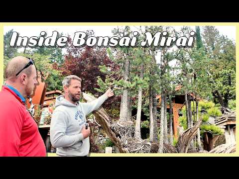 Inside Bonsai Mirai with Ryan Neil | 900 Trees, Native Species & Mind-Blowing Design
