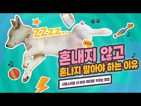 🐕강아지는 ❤️사랑만 있으면 됩니다! 별이의 우개연 방문기 강아지 기르는 법#우개연 #강아지기르기 #퍼피교육