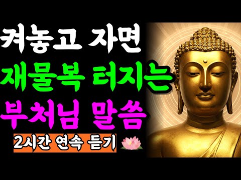 그냥 켜놓고 주무세요. 재물 복이 터지고 자고 나면 귀인이 찾아옵니다 | 부처님 말씀 | 석가모니 | 불교명언 | 불교오디오북