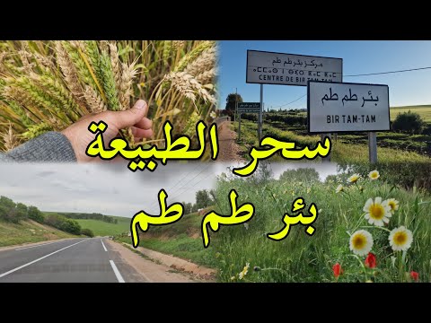 سحر الطبيعة على طريق سيدي حرازم نحو بئر طم طم