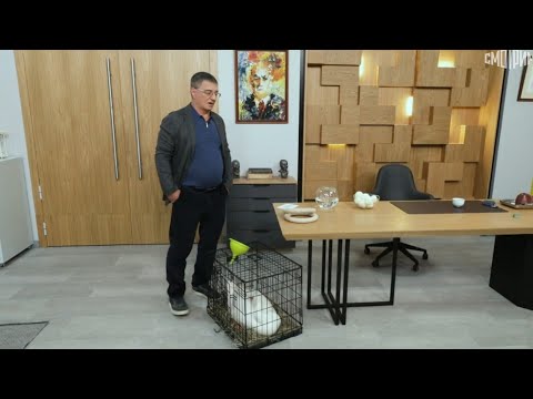 Доктор Мясников. Эфир от 20.12.2025