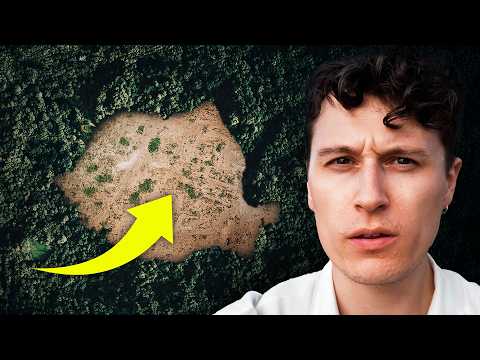 Why Europe's Forests Are Vanishing