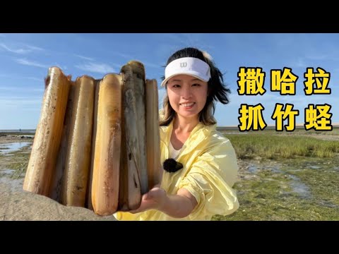 探索撒哈拉第一集：赶海大竹蛏