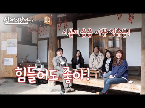 (경북 문경) 문경 핫플,  한옥 카페와 빵집 차린 청년들! ktv, korea tv challenge, youth, rural area (시즌4)