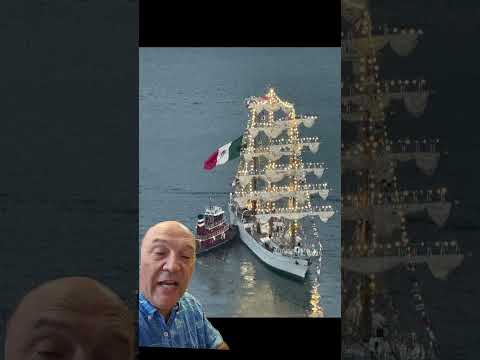 Why did the Mexican Navy Training Ship Cuauhtémoc Strike the Brooklyn Bridge on May 17, 2025