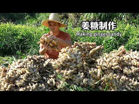 生姜大丰收的季节，我挖了七十斤的姜。用姜制作了3种不同的美食。姜糖，微辣甜口。姜酸片，清脆可口。汤圆甜甜糯糯。一起和家人们分享着美食。#中国美食 #cooking #传统文化 #美食 #姜糖 #汤圆