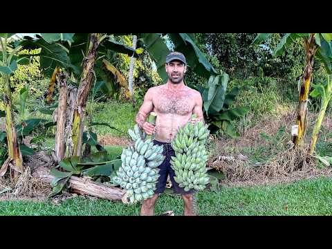 1500 Days Homesteading... A Journey to Self Sufficiency (Full Tour)