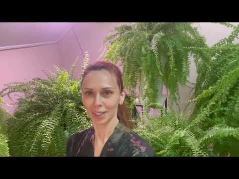 #ПРО папоротники. Секреты красоты.