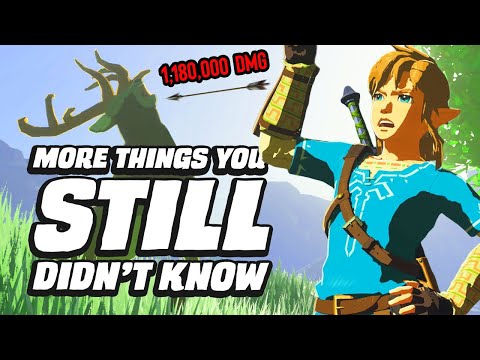 25 MORE Things You STILL Didn't Know In Zelda Breath Of The Wild