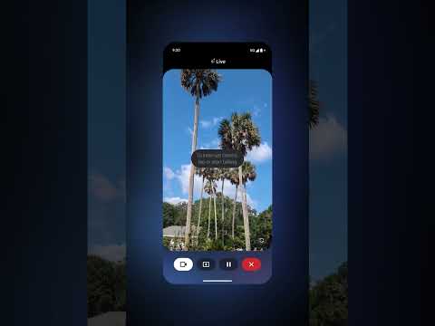 Gemini keeps it real. 😎 Share your camera with Gemini Live to ask questions about what you see.
