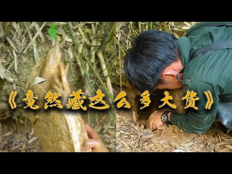 【南豐兄弟捕魚VLOG】山溝裏的荒廢魚塘，樹洞下面竟然藏這麼多大貨...