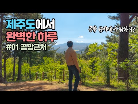 제주 공항근처 맛집과 관광지까지! 제주시내에서 완벽한 하루 보내기 - 풀코스 제주여행 #01