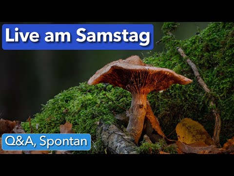 Live am Samstag - Q&A, Spontan ... also wie immer und mehr