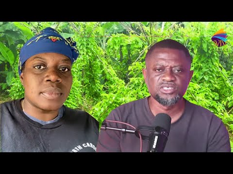 I Left Office Work To Start Yam Farming With GHS3000, I Have Not Regretted it, No Man Will Take…