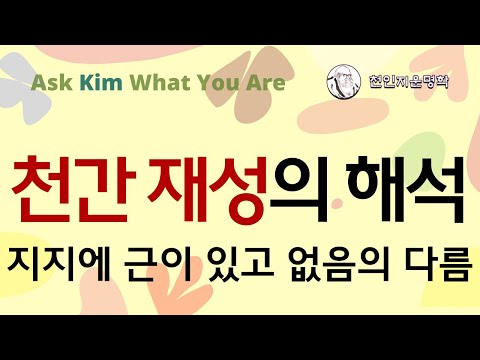 천간 재성의 해석
