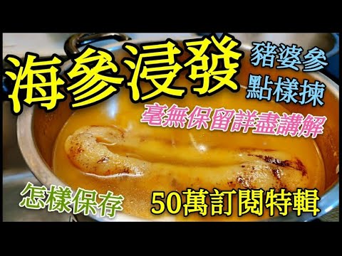 〈職人吹水〉  (海參浸發) 當中竅門👉 毫無保留詳盡分享 豬婆參選擇 記得保存和分享